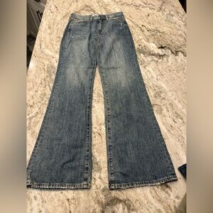 Pistola NWTS Steve High Rise‎ Relaxed Flare Jeans Size 26